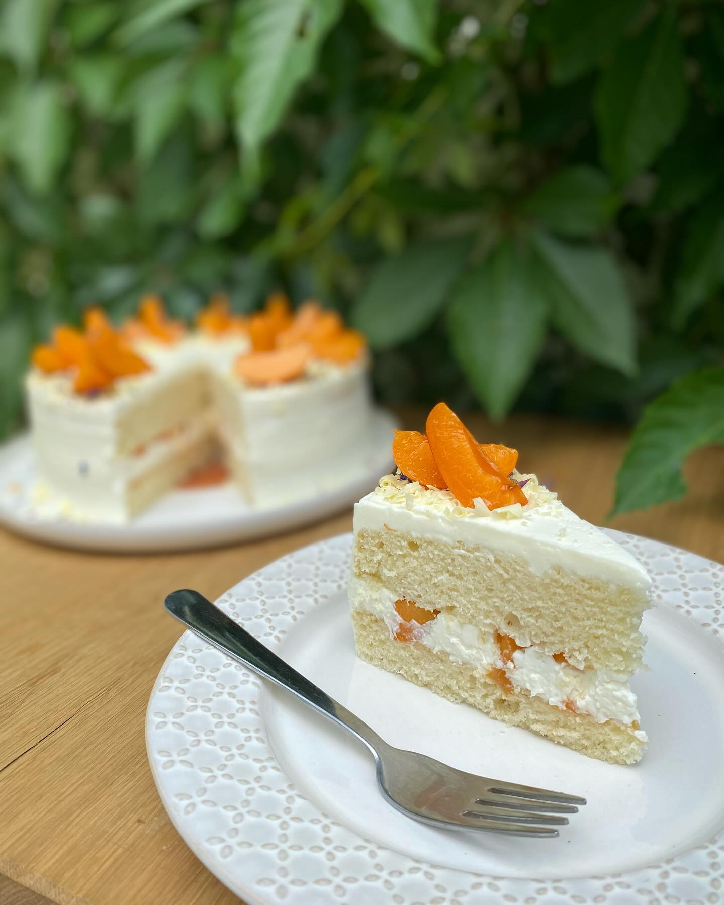 Vanilkový dort s meruňkami ????

#vanilkovydort #merunky #mascarpone #mladaboleslav #kavarna #tritecky #skodanezajit